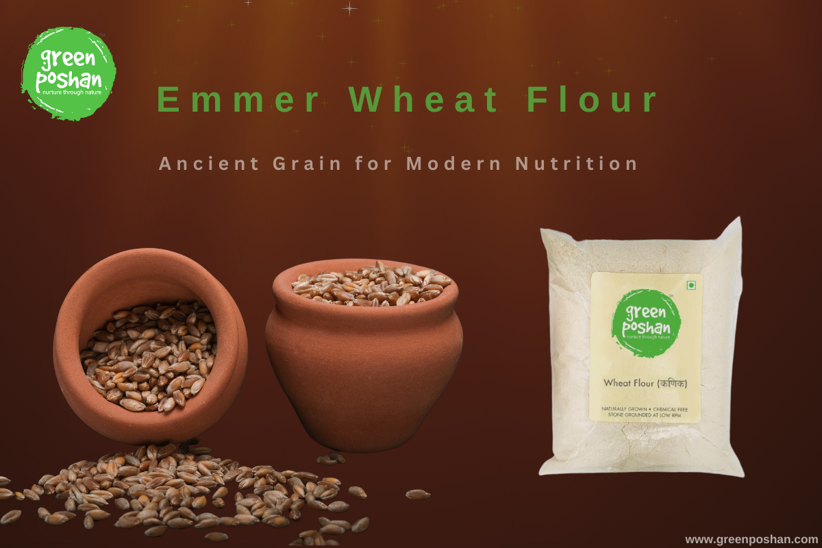 Emmer Wheat Flour