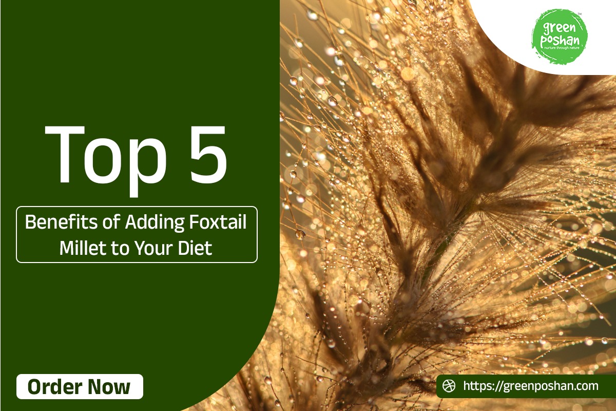 Foxtail Millets Benefits