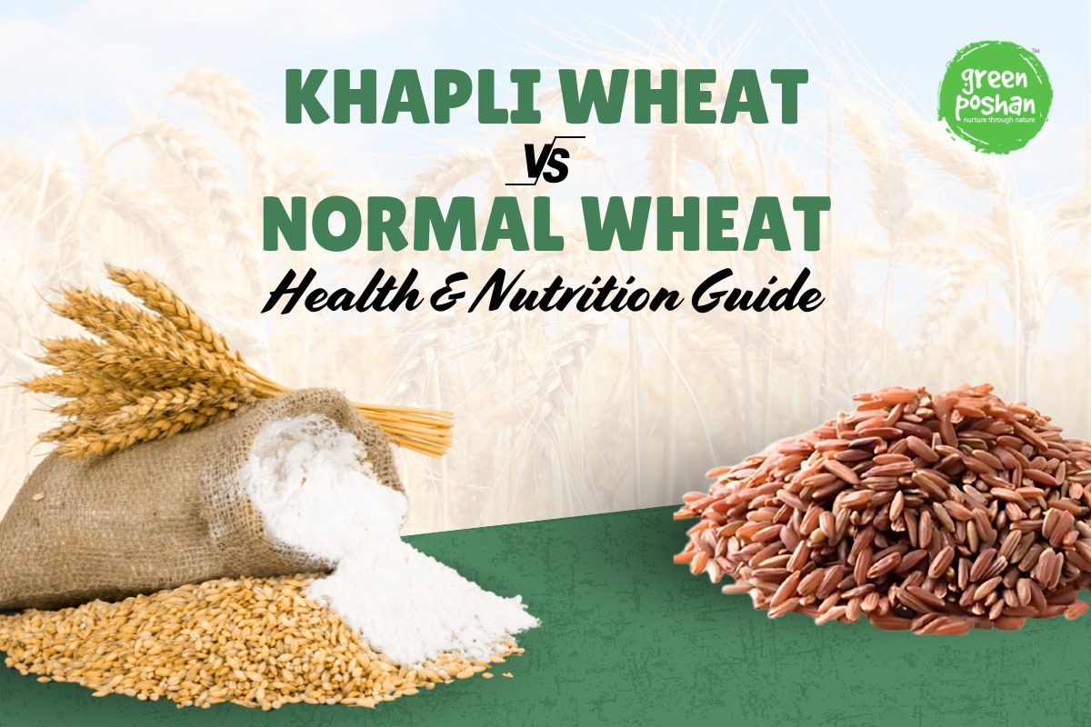 Khapli Wheat vs. Normal Wheat