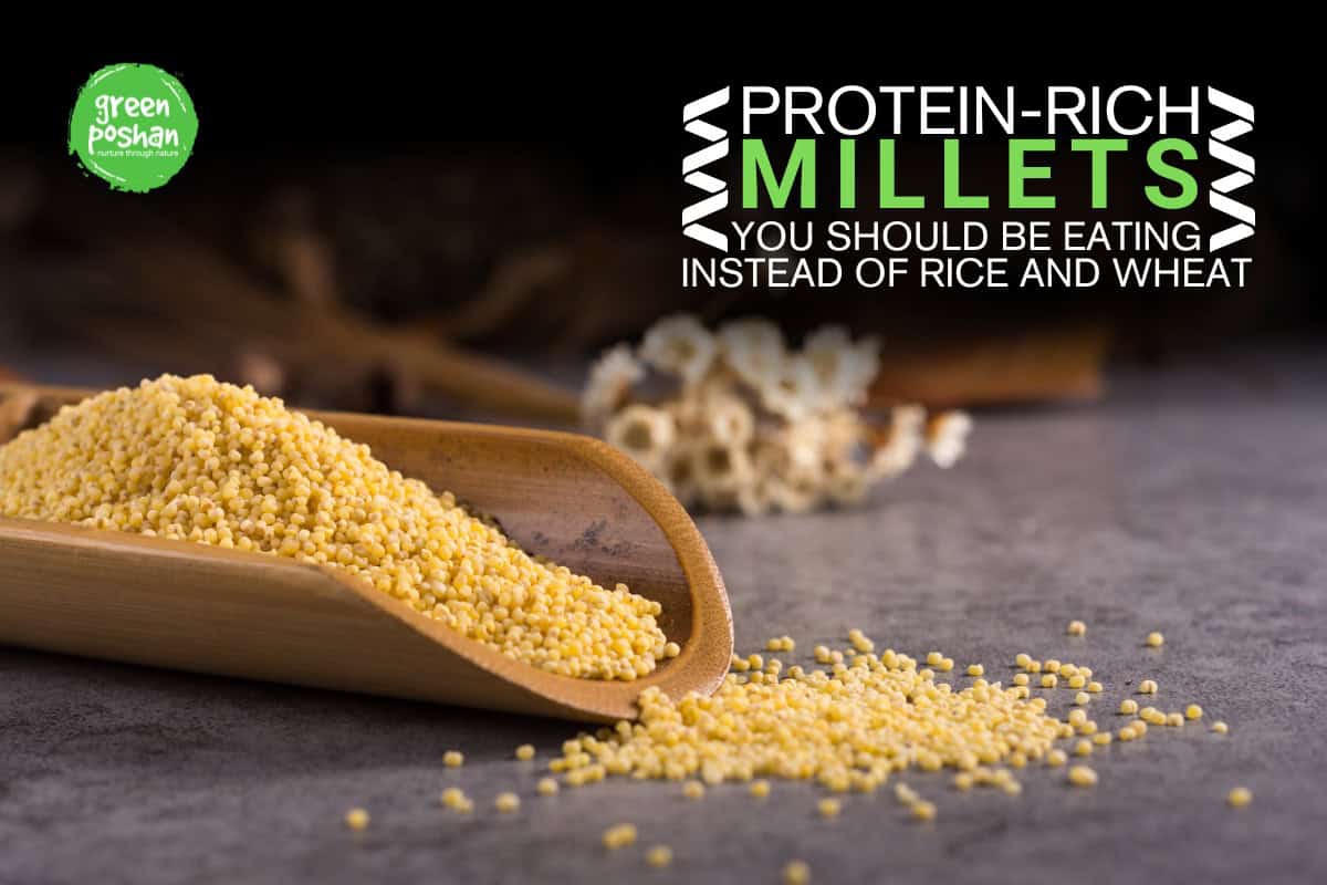 protein rich millet