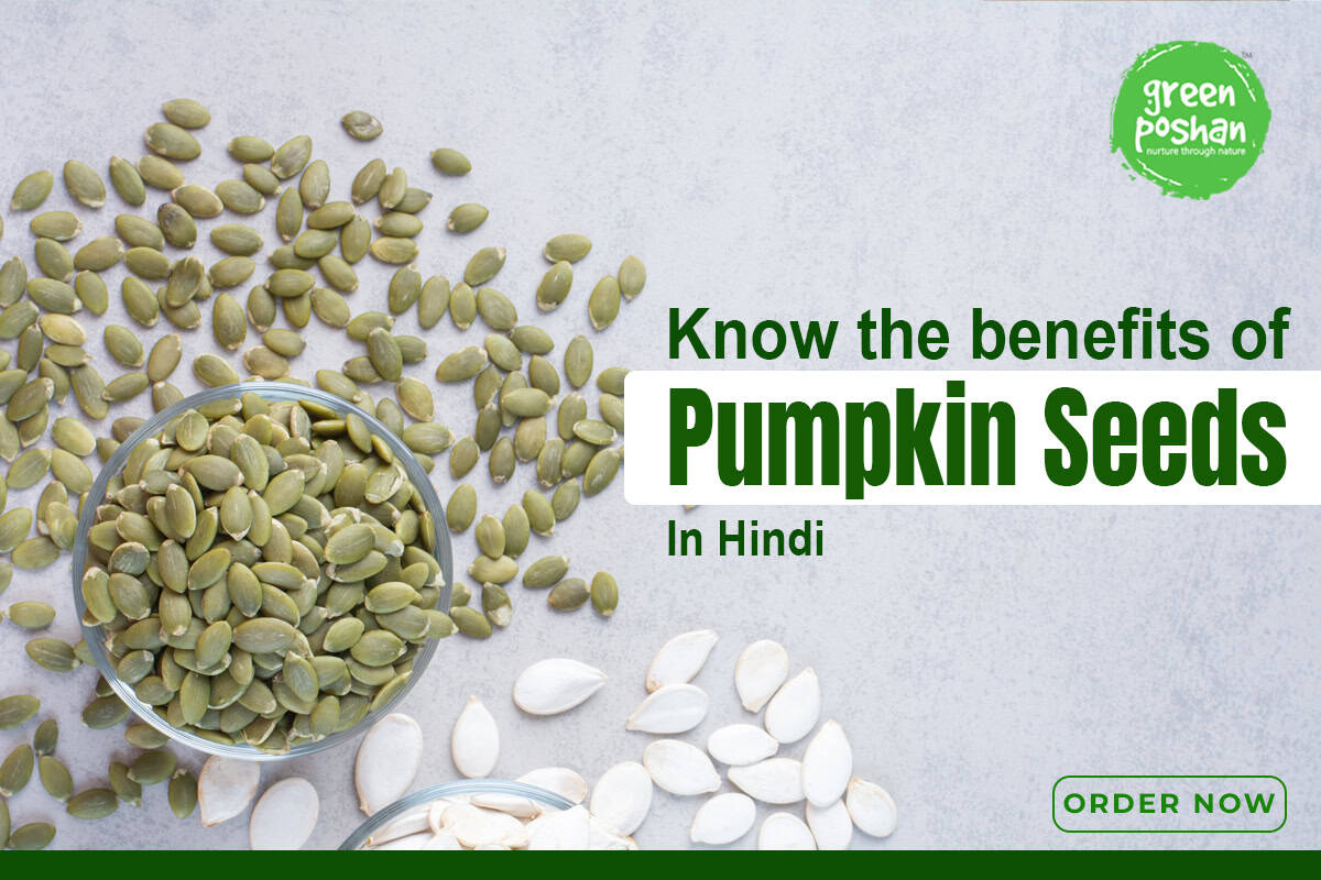 pumpkin seeds in hindi
