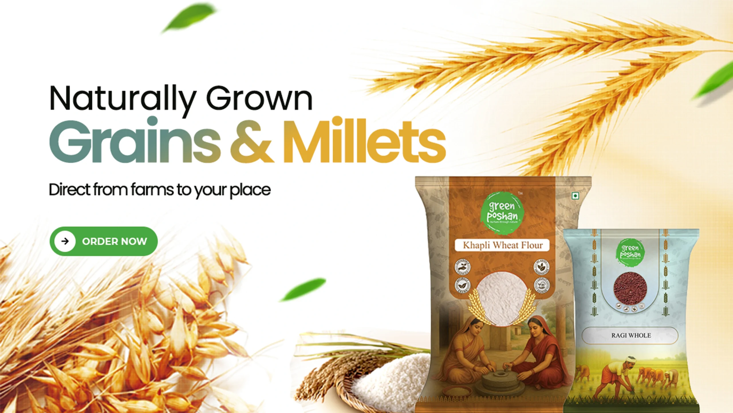 Millet and Grains_1240x700